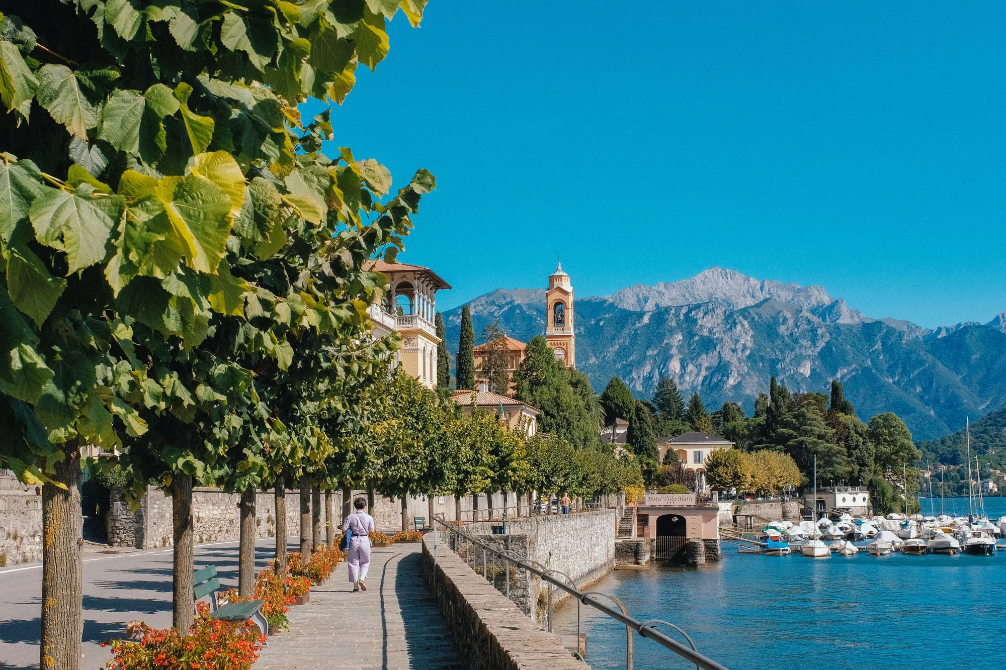 Borghi